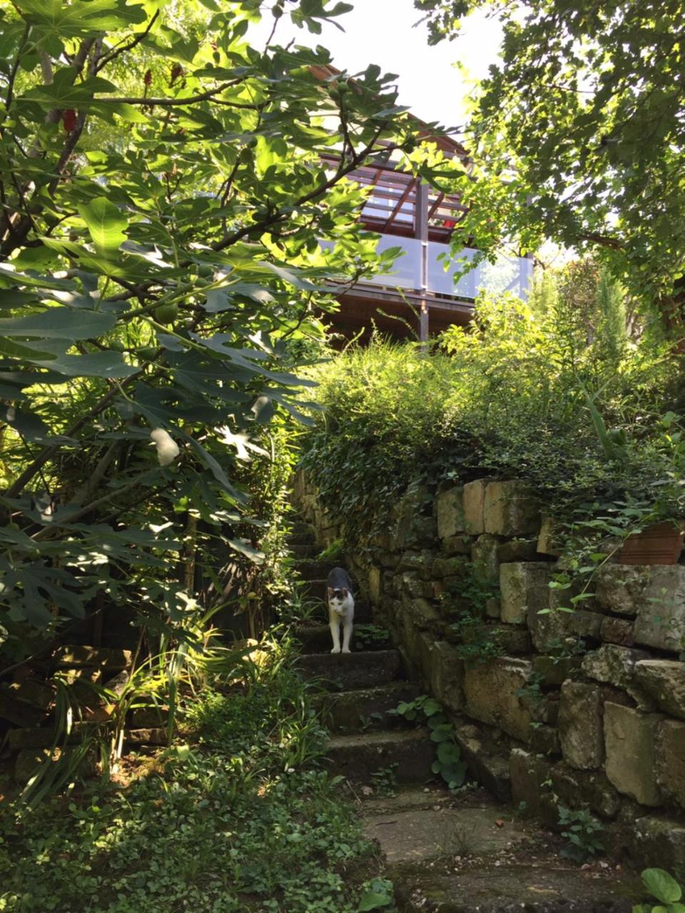 Appartement Pergola House In A Green Oasis With Fantastic View à Petrovaradin Extérieur photo