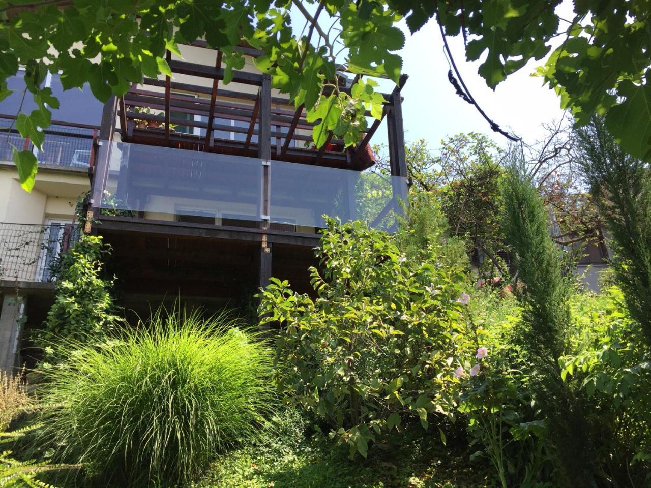 Appartement Pergola House In A Green Oasis With Fantastic View à Petrovaradin Extérieur photo