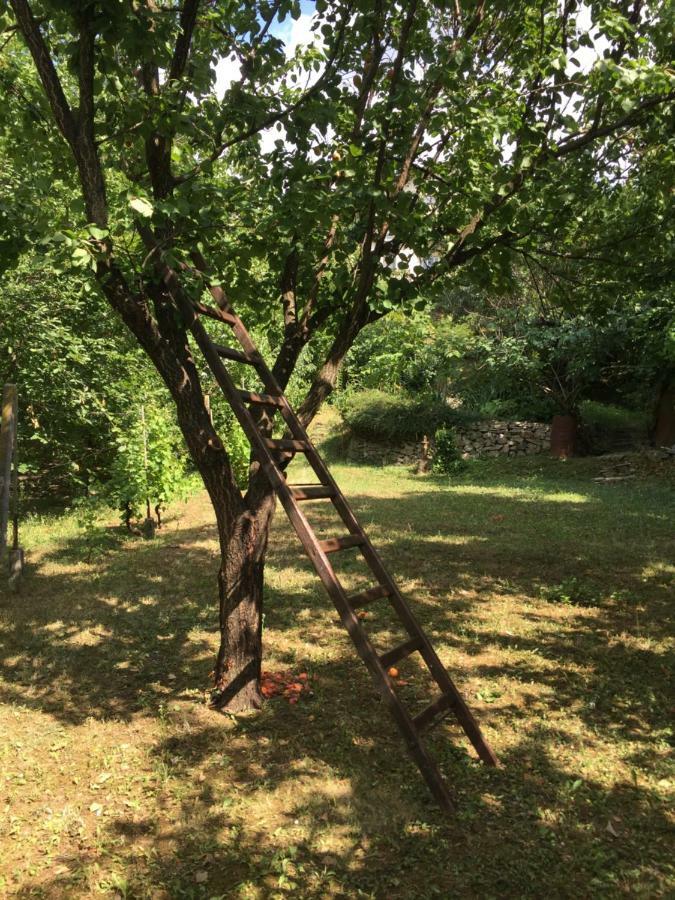 Appartement Pergola House In A Green Oasis With Fantastic View à Petrovaradin Extérieur photo