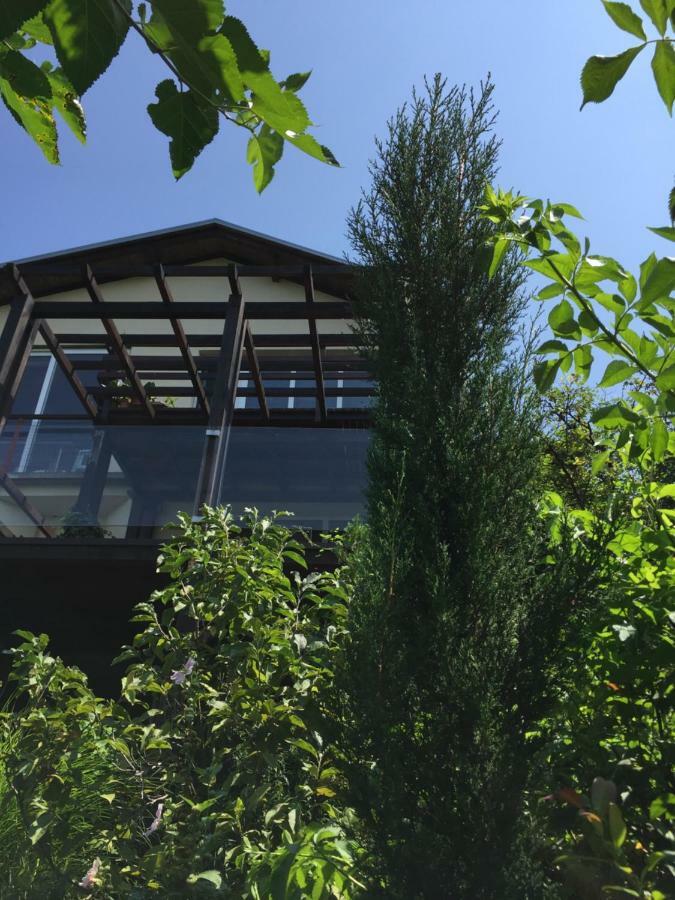 Appartement Pergola House In A Green Oasis With Fantastic View à Petrovaradin Extérieur photo